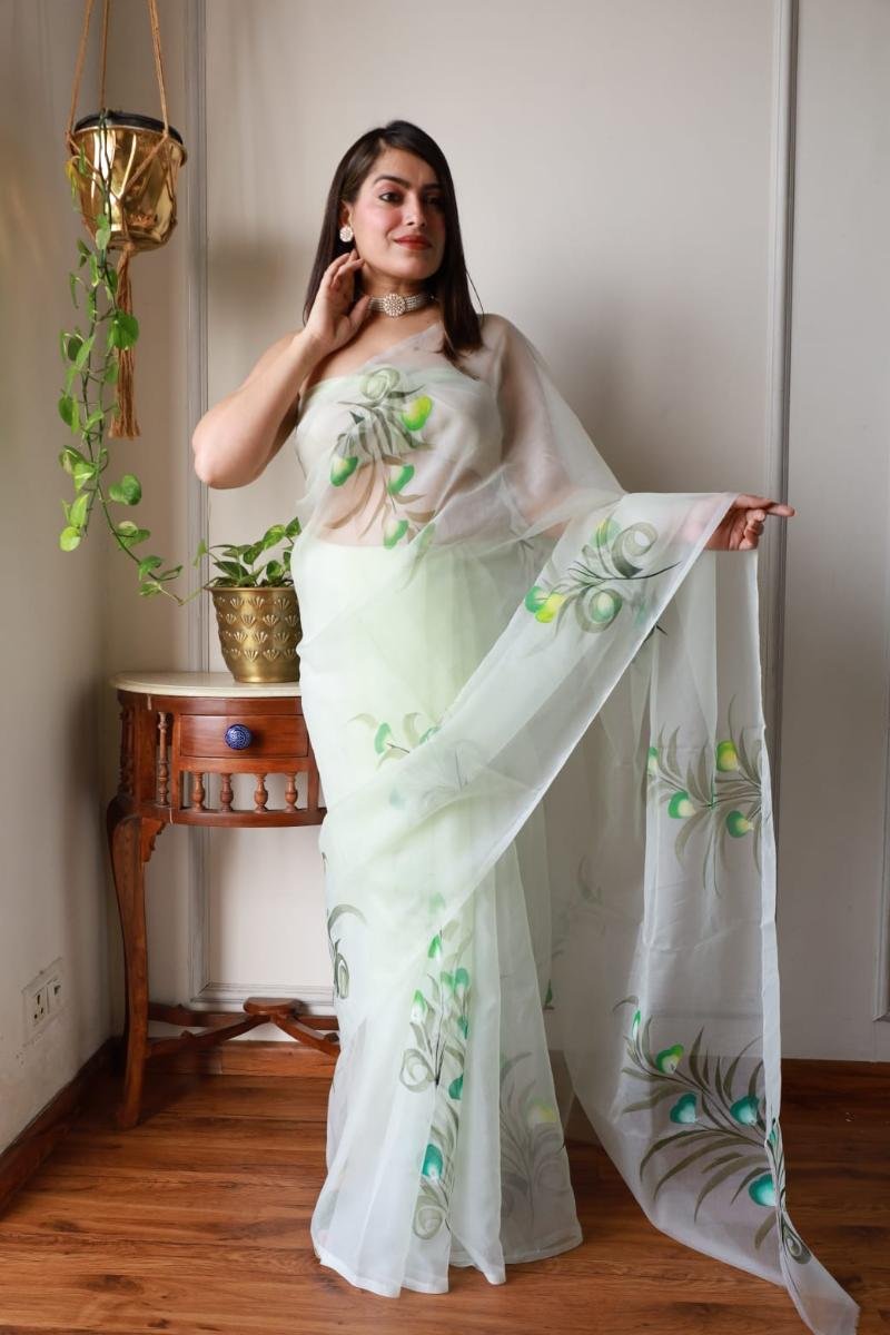 Organza Silk Sarees - Delicate & shimmering